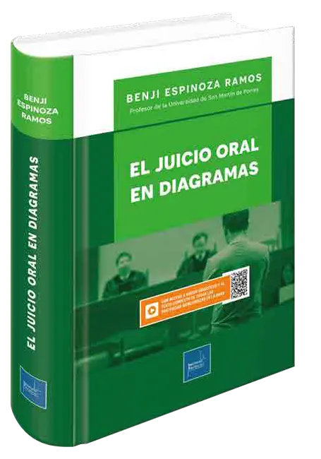 EL JUICIO ORAL EN DIAGRAMAS