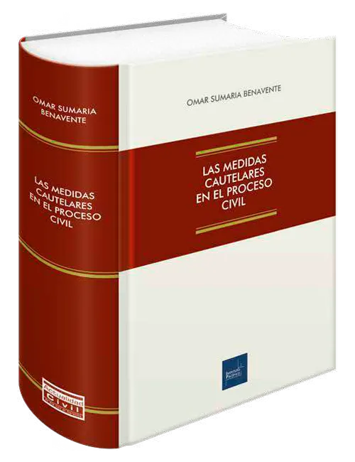 LAS MEDIDAS CAUTELARES EN EL PROCESO CIVIL