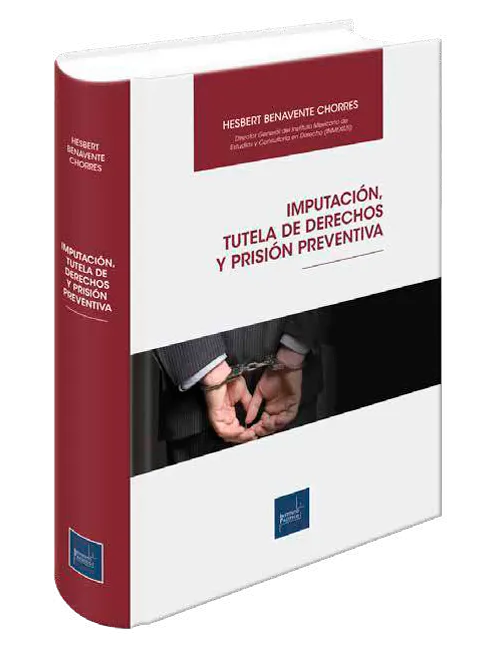 IMPUTACION, TUTELA DE DERECHOS Y PRISION PREVENTIVA