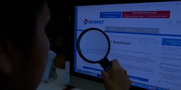 Fiscalización de la Sunat: ingreso en billeteras digitales