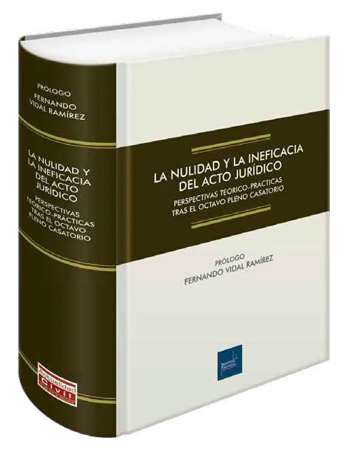 LA NULIDAD Y LA INEFICACIA DEL ACTO JURÍDICO PERSPECTIVAS TEÓRICO-PRACTICAS TRAS EL OCTAVO PLENO CASATORIO